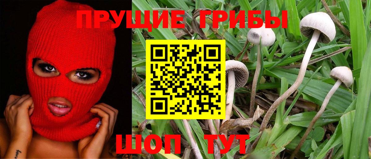 Галлюциногенные грибы MAGIC MUSHROOMS  цены наркотик  Карталы  Вход с VPN 