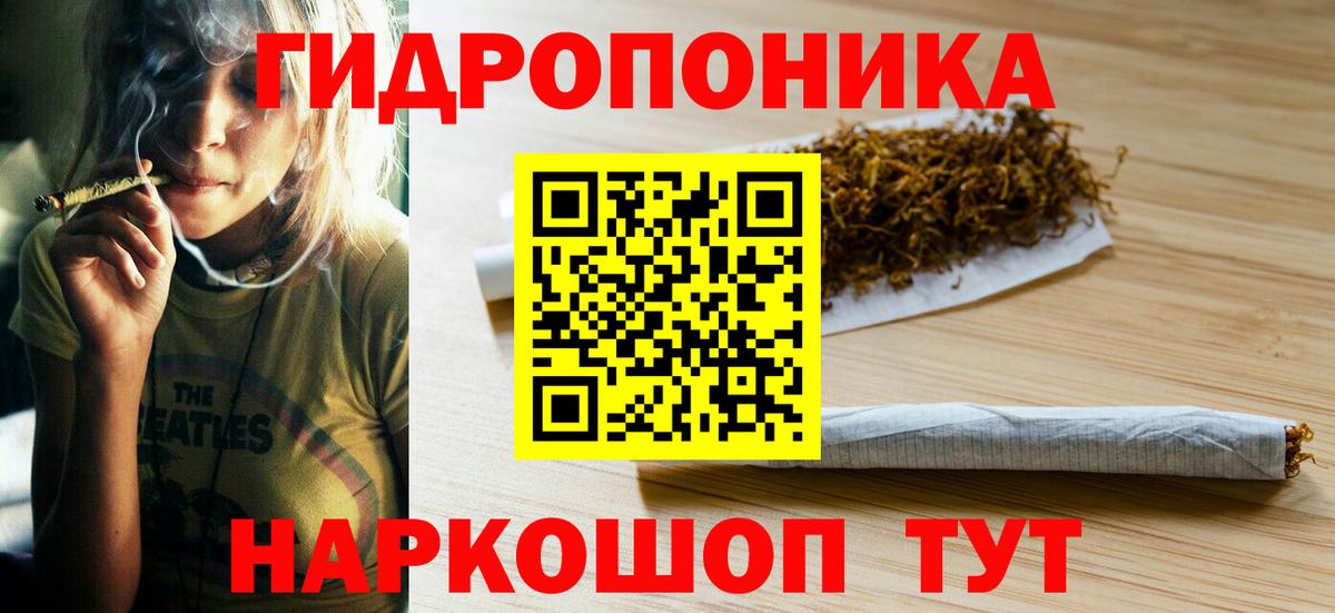 Шишки марихуана сатива  Канабис планчик  Вход с VPN  Карталы 